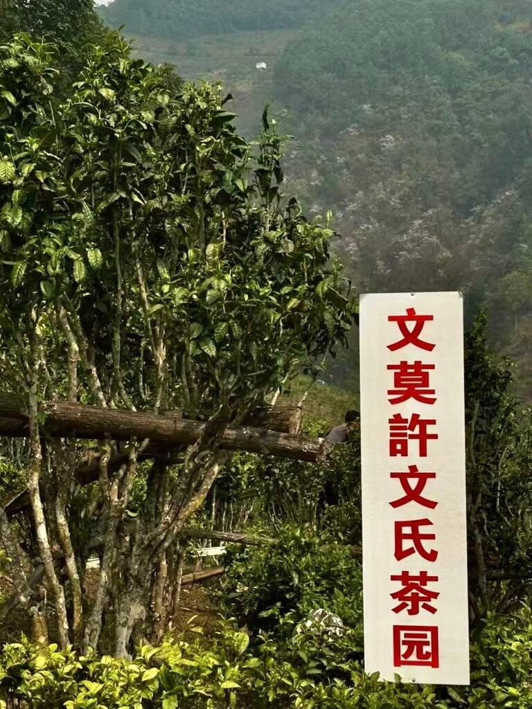 originalImage_918097827_livephoto